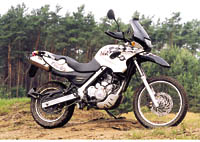 Kradblatt &#8211; Staging